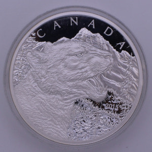 캐나다 2015년 퓨마 500g (0.5kg) 은화 